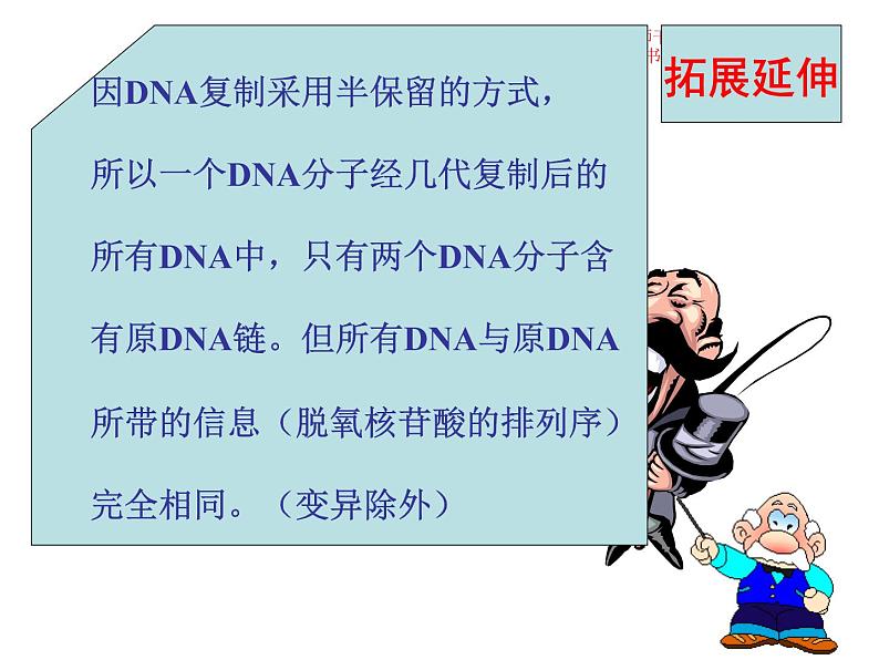 3.3 DNA的复制课件PPT第7页