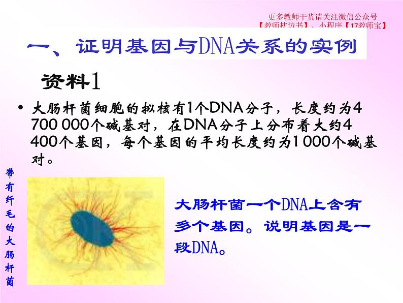 3.4 基因通常是有遗传效应的DNA片段课件PPT第2页