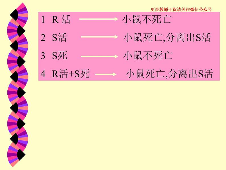 3.1 DNA是主要的遗传物质课件PPT第4页