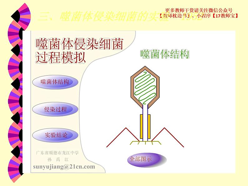 3.1 DNA是主要的遗传物质课件PPT第7页