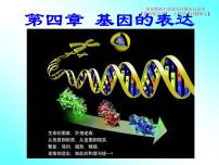 2020-2021学年第1节 基因指导蛋白质的合成教学ppt课件