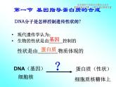 4.1 基因指导蛋白质的合成课件PPT