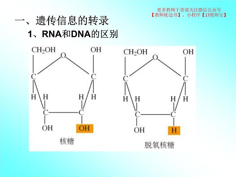 4.1 基因指导蛋白质的合成课件PPT第3页