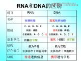 4.1 基因指导蛋白质的合成课件PPT