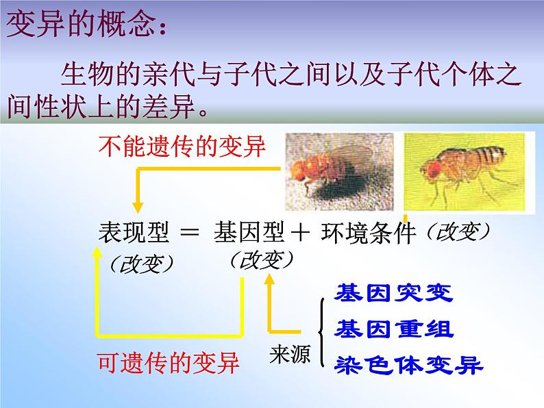 5.1 基因突变和基因重组课件PPT02