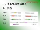 5.2 染色体变异课件PPT