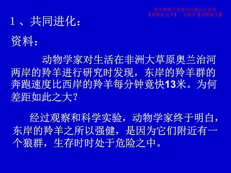 6.4 协同进化与生物多样性的形成课件PPT03