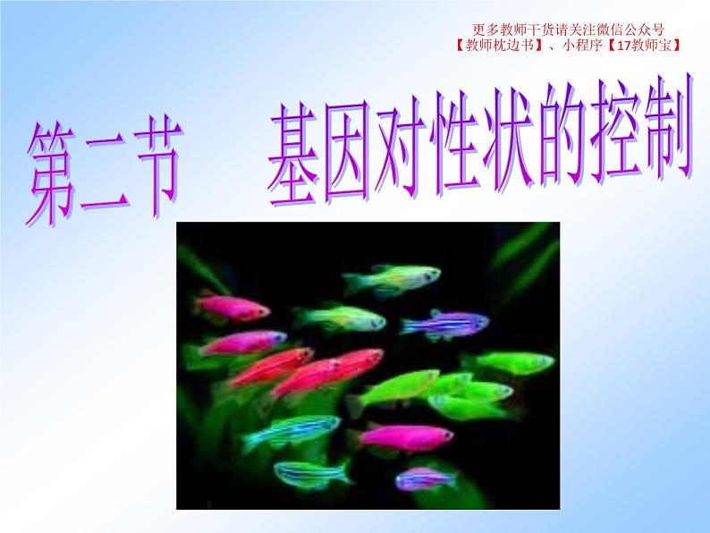 4.2 基因表达与性状的关系课件PPT第1页