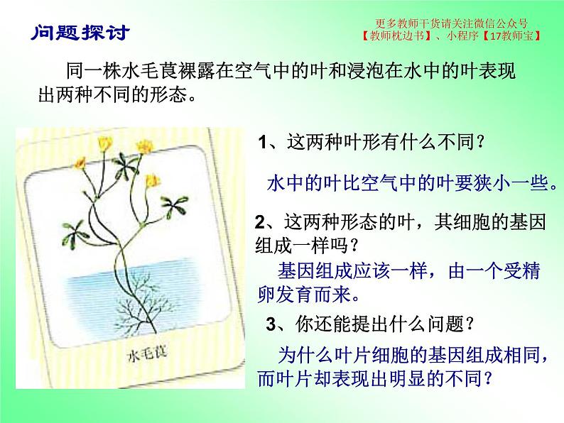 4.2 基因表达与性状的关系课件PPT第2页