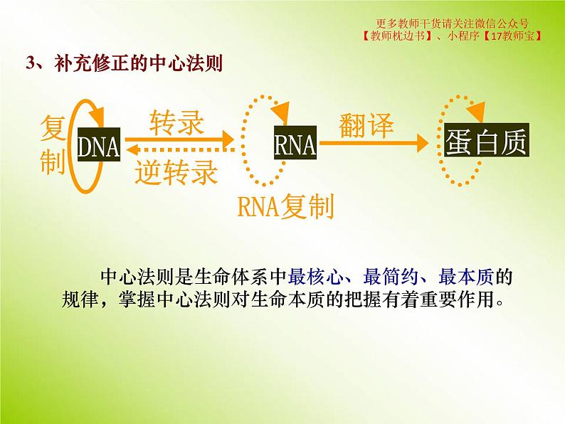 4.2 基因表达与性状的关系课件PPT第5页