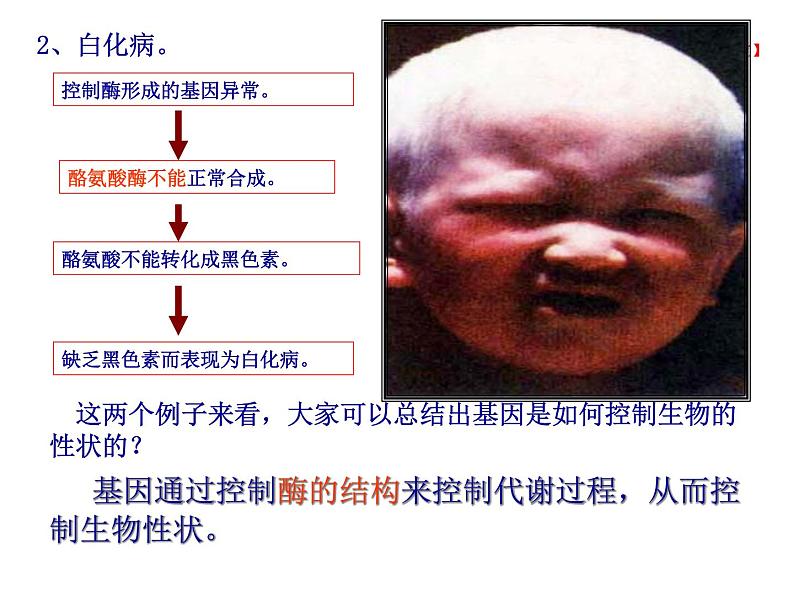 4.2 基因表达与性状的关系课件PPT第8页