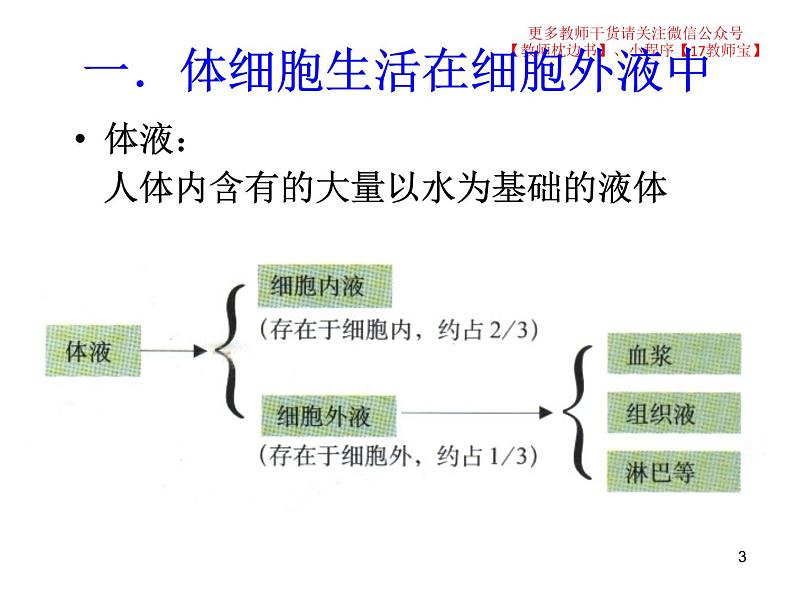 选修1 1.1细胞生活的环境课件PPT03