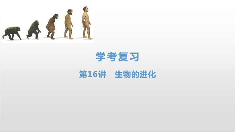 学考复习16生物的进化 课件【新教材】2022届浙江高考生物学考复习（浙科版（2019））第1页