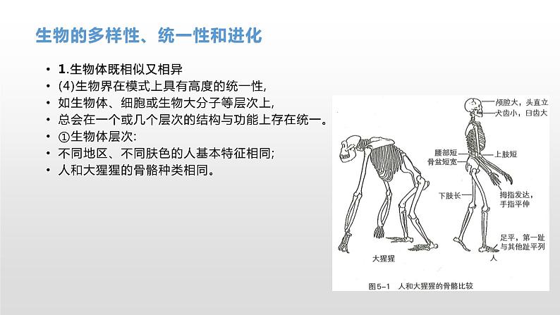 学考复习16生物的进化 课件【新教材】2022届浙江高考生物学考复习（浙科版（2019））第6页