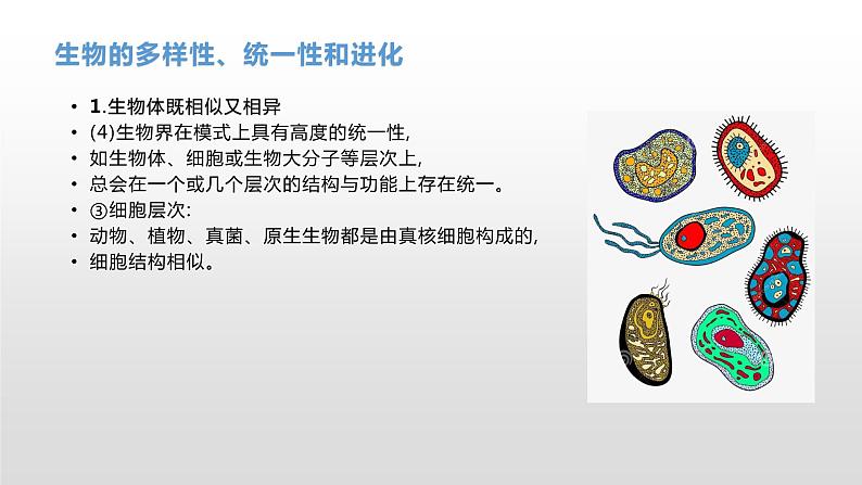 学考复习16生物的进化 课件【新教材】2022届浙江高考生物学考复习（浙科版（2019））第8页