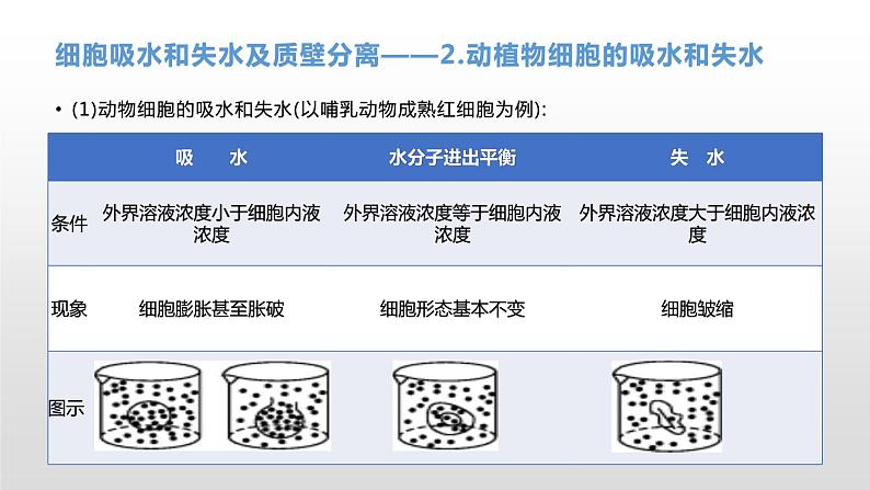 学考复习4物质出入细胞的方式 课件【新教材】2022届浙江高考生物学考复习（浙科版（2019））第6页