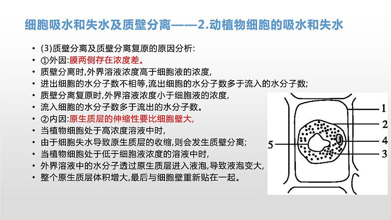 学考复习4物质出入细胞的方式 课件【新教材】2022届浙江高考生物学考复习（浙科版（2019））第8页