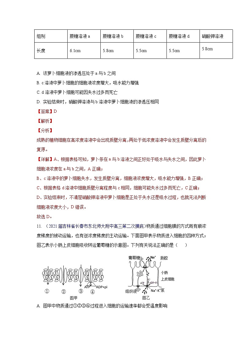 专题03 物质运输- 高三生物模拟试卷分类汇编（1月刊）第2页