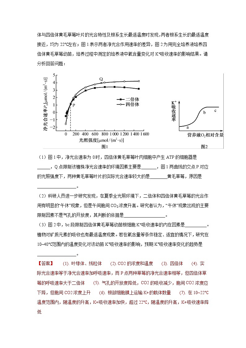 专题05 光合作用与细胞呼吸- 高三生物模拟试卷分类汇编（1月刊）第2页