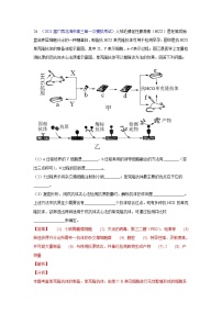 专题20 现代生物科技专题- 高三生物模拟试卷分类汇编（1月刊）