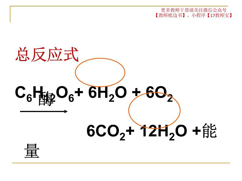 5.3  细胞呼吸的原理和运用课件PPT第7页