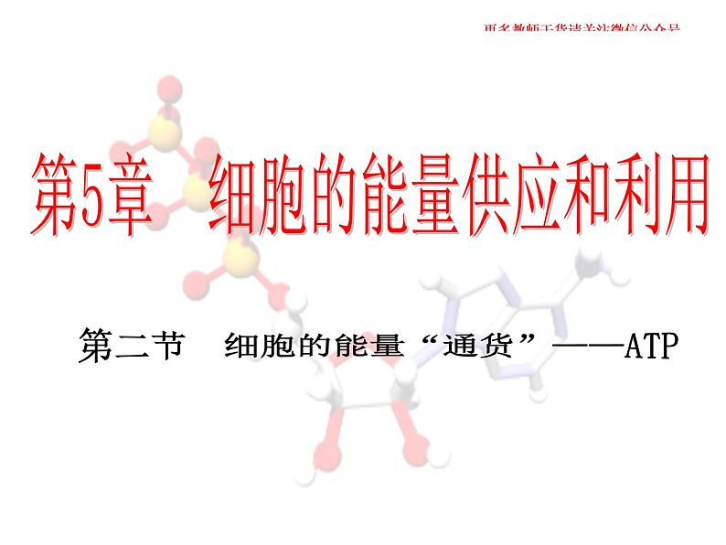 5.2  细胞的能量“货币” ATP课件PPT01