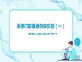 1.1《孟德尔的豌豆杂交实验（一）》课件+教案+练习