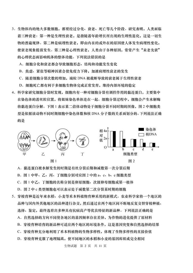 2022年4月山东省青岛市2022届高三高考一模生物试题含答案第2页