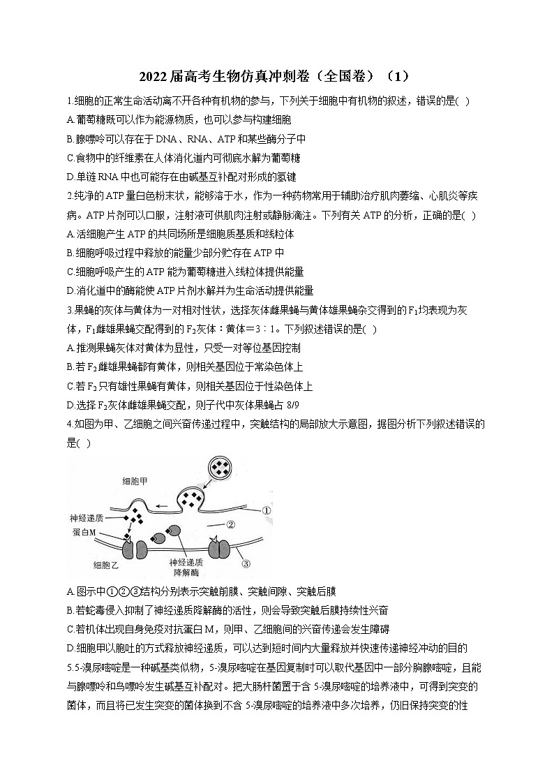 2022届高考生物仿真冲刺卷（全国卷）（1）第1页