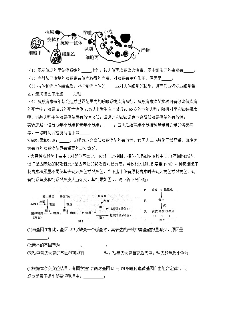 2022届高考生物仿真冲刺卷（全国卷）（1）第3页