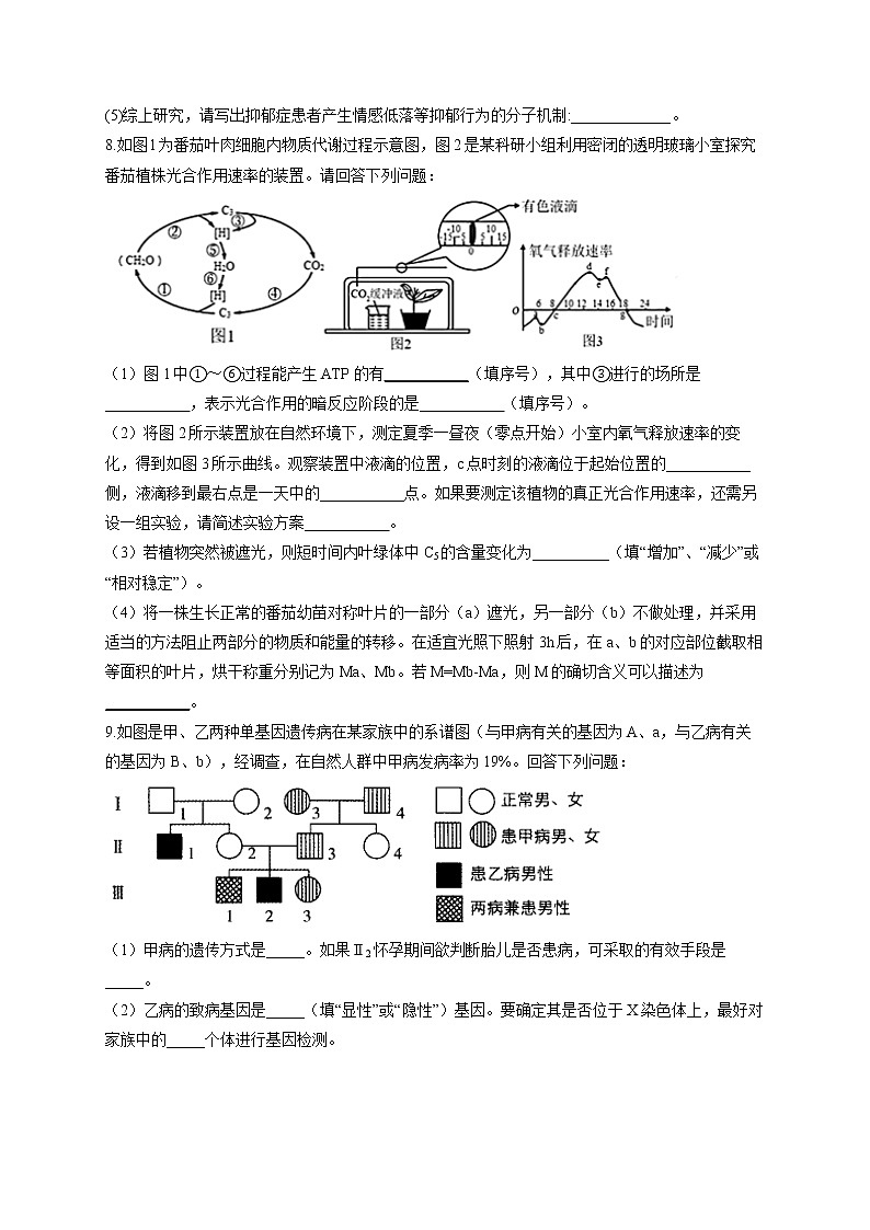 2022届高考生物仿真冲刺卷（全国卷）（5）第3页