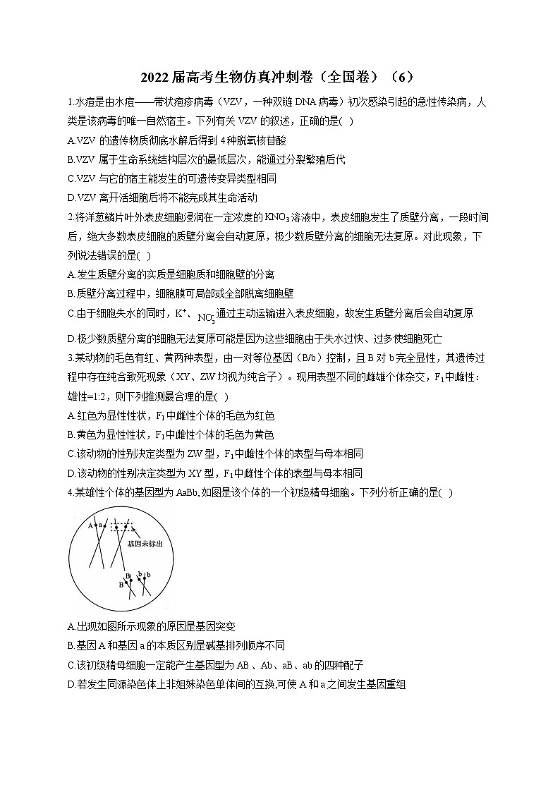 2022届高考生物仿真冲刺卷（全国卷）（6）第1页