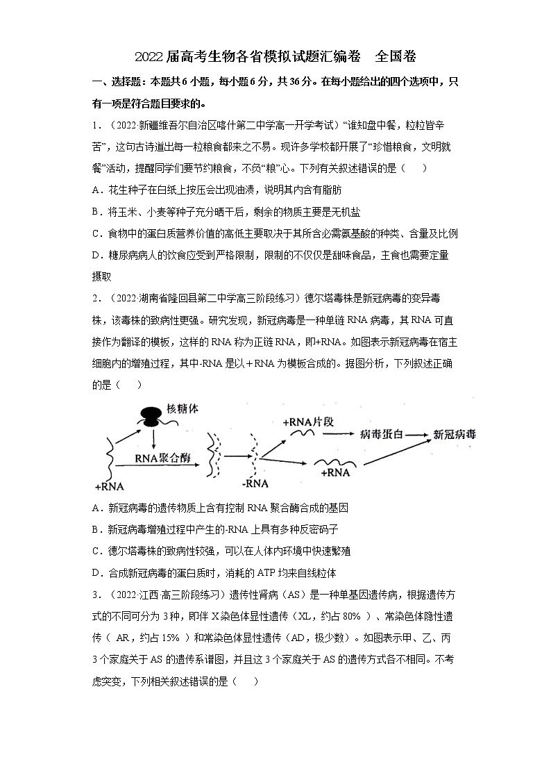 2022届高考生物模拟试题湖南专版（含答案） (4)第1页