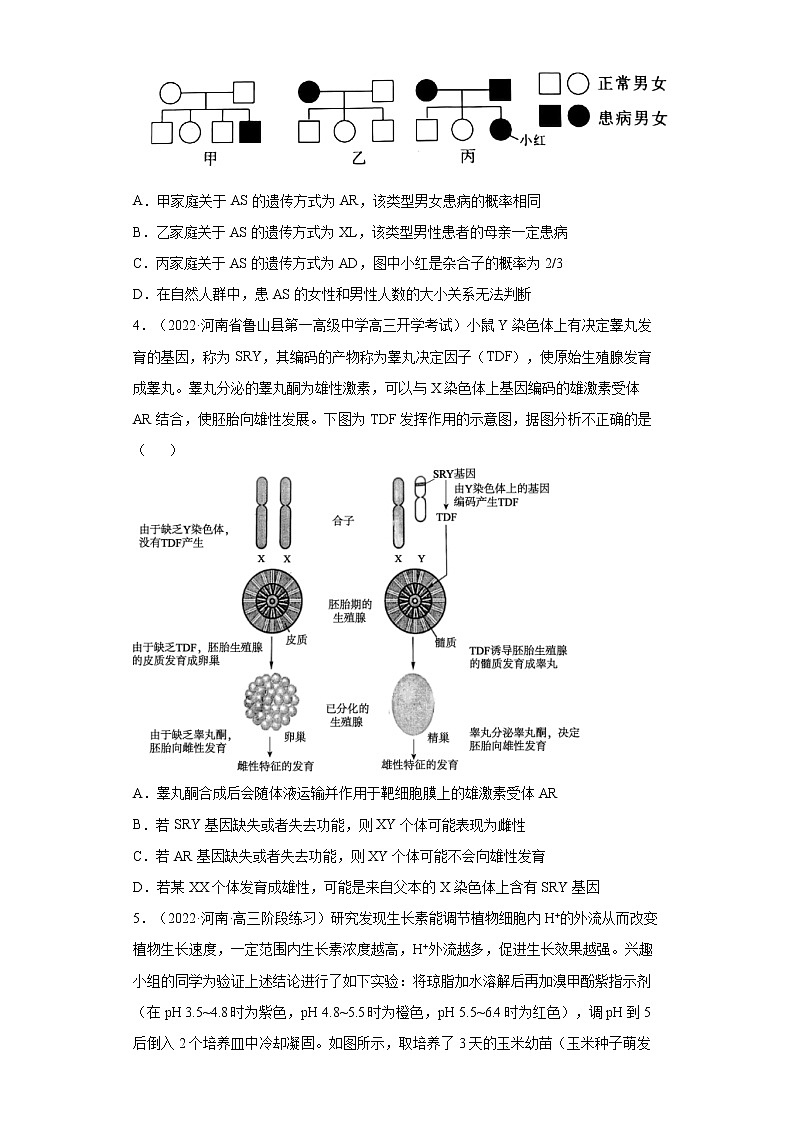 2022届高考生物模拟试题湖南专版（含答案） (4)第2页