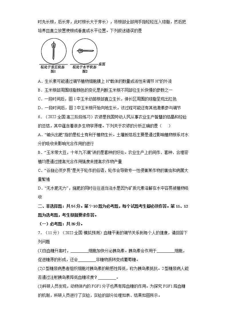 2022届高考生物模拟试题湖南专版（含答案） (4)第3页