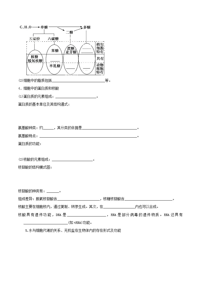 高考生物二轮复习突破专题01《组成细胞的分子》学案（含详解）02