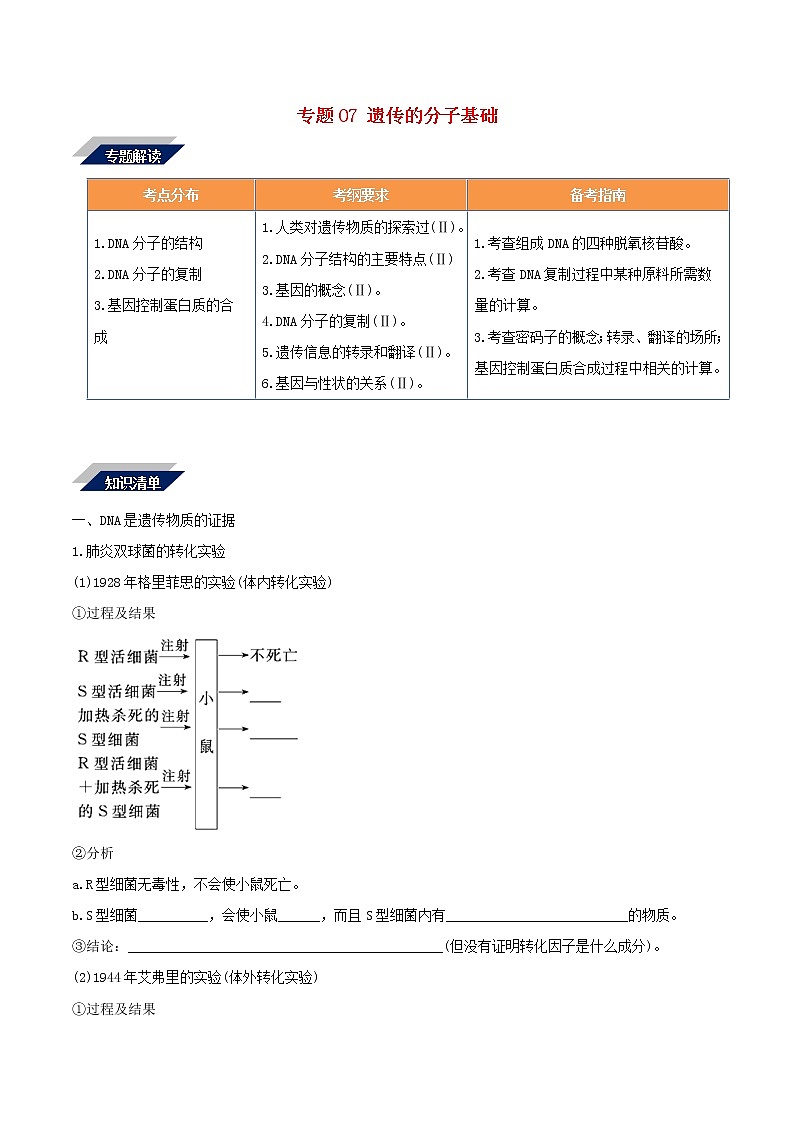 高考生物二轮复习突破专题07《遗传的分子基础》学案（含详解）01