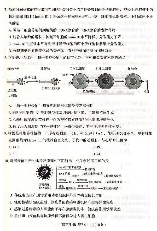 2022届河北省石家庄市高中毕业班教学质量检测二（二模）生物试卷含答案03