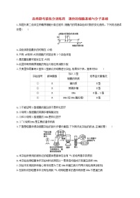 高考生物二轮复习选择题考前抢分训练04《遗传的细胞基础与分子基础》（含详解）