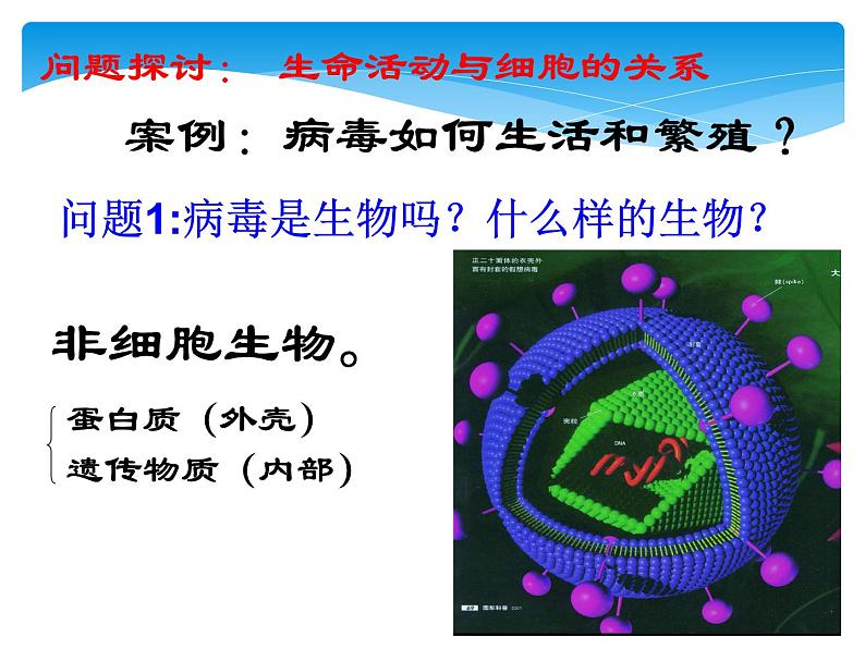 必修1 第1章 第1节细胞是生命活动的基本单位课件PPT第6页