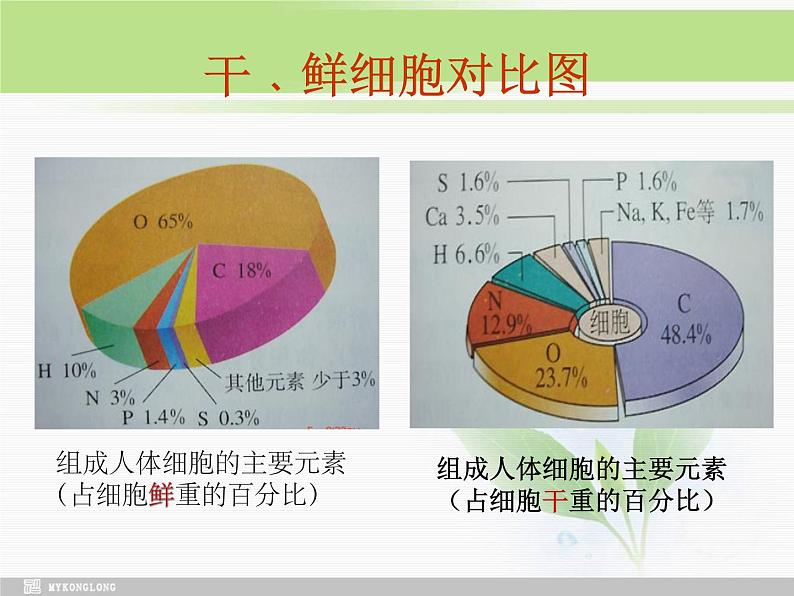 必修1 第2章 第1节细胞中的元素和化合物课件PPT08