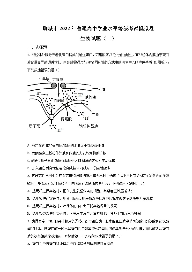 2022聊城高三下学期一模考试生物试题含答案第1页