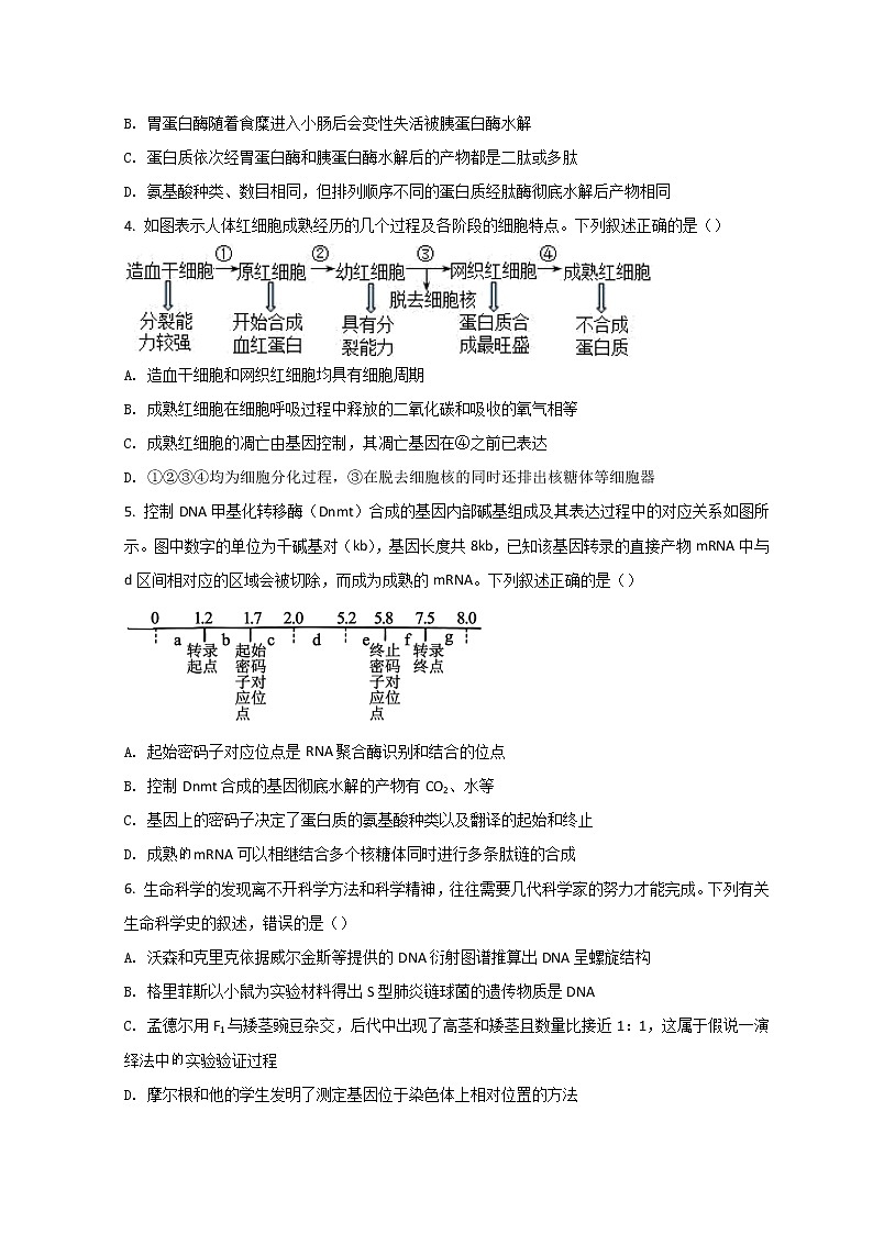 2022聊城高三下学期一模考试生物试题含答案第2页