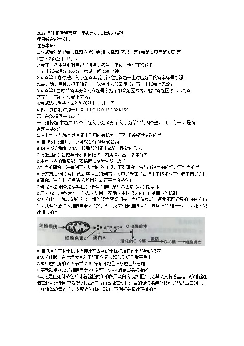 2022呼和浩特高三下学期一模考试生物试题含答案01