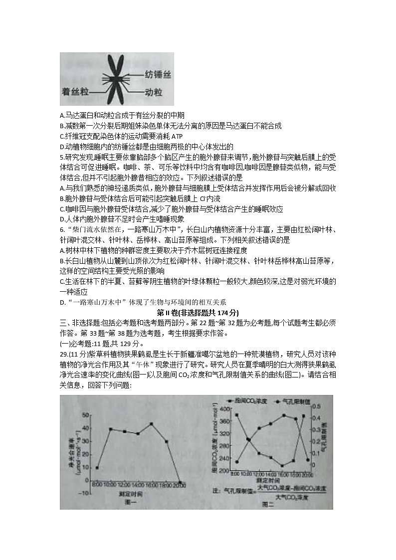 2022呼和浩特高三下学期一模考试生物试题含答案02