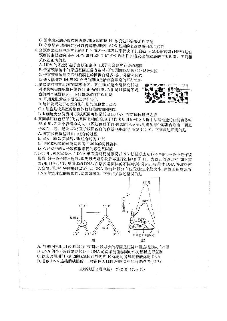 2022湖南师大附中高三下学期一模试题生物PDF版含答案02