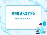 2.1《减数分裂和受精作用》课件PPT+教案