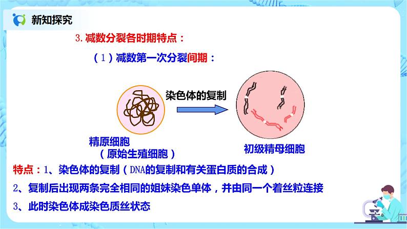 2.1《减数分裂和受精作用》课件PPT+教案08