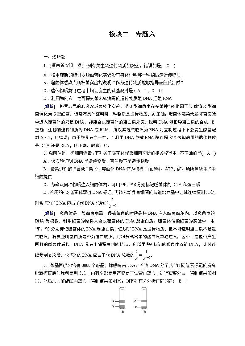 高考生物二轮复习精品练习：专题06《遗传的分子基础》（含详解）第1页