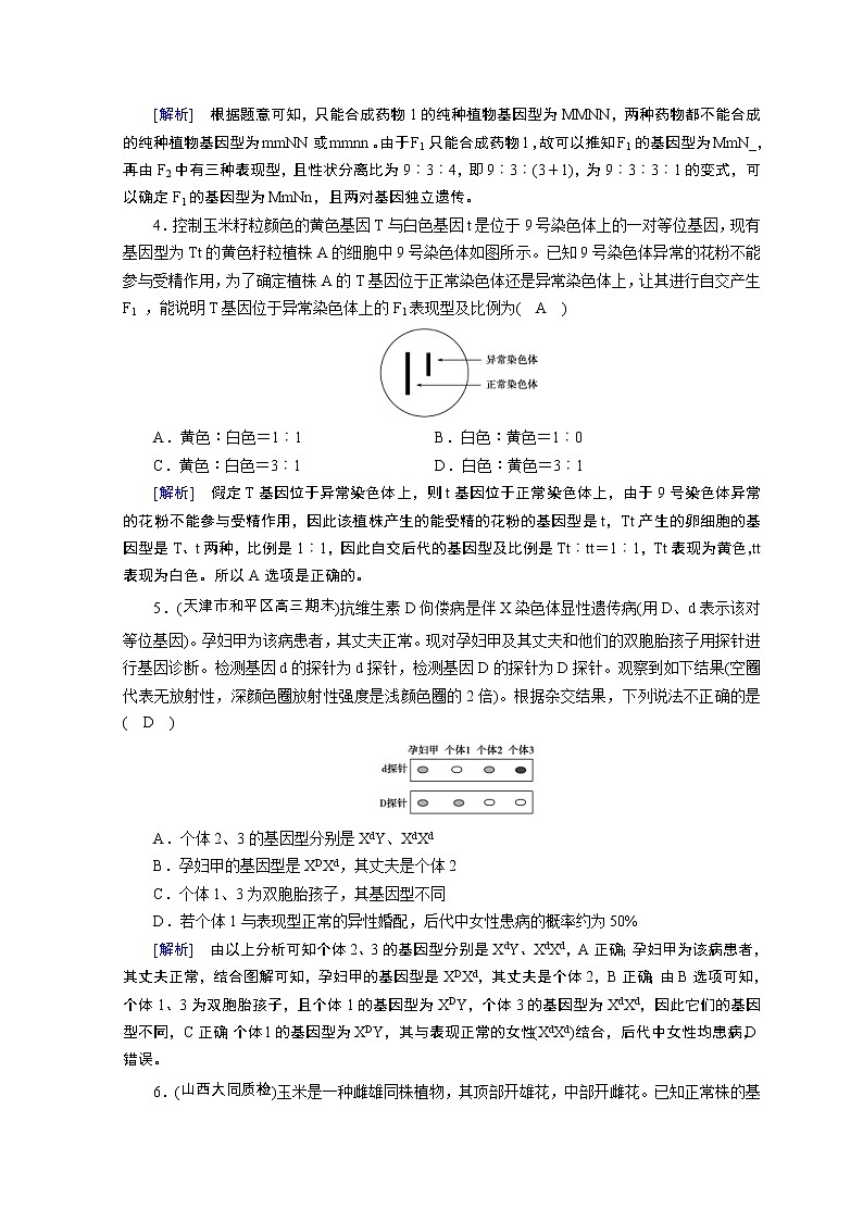高考生物二轮复习精品练习：专题07《遗传的基本规律和伴性遗传》（含详解）第2页
